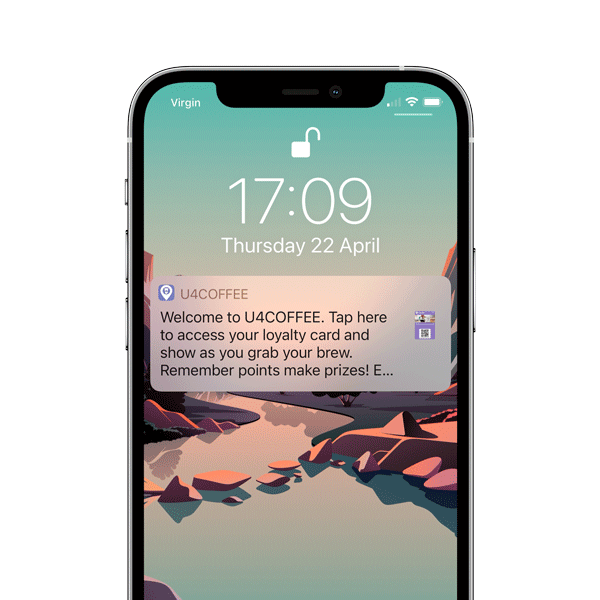 push and dynamic updates