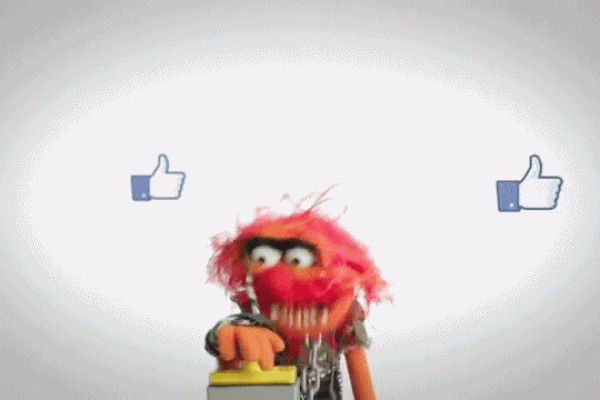 fb-animal-gif