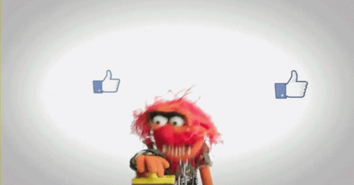 fb-animal-gif