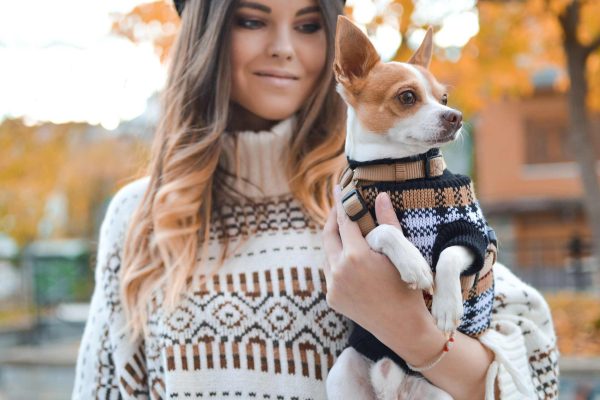 pet store rewards program