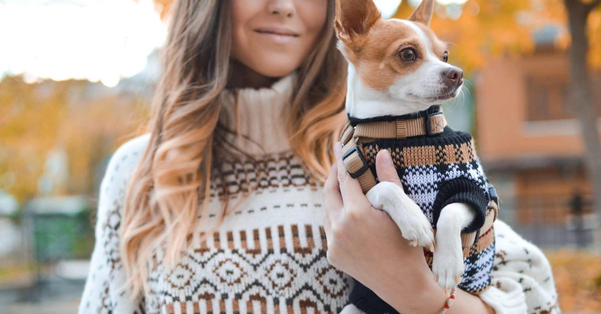 pet store rewards program