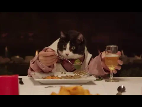Cat posed at a dinner table with food and a wine glass