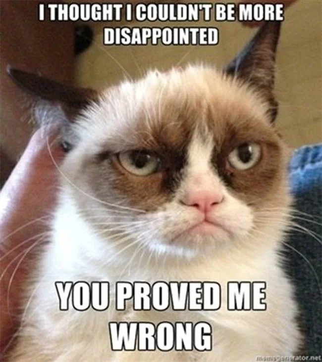 Grumpy Cat meme expressing disappointment