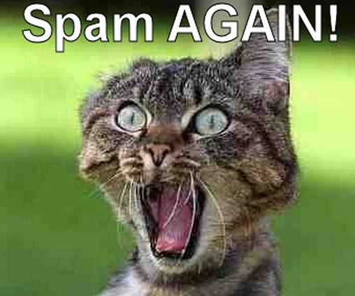 Hissing cat with the caption Spam AGAIN!