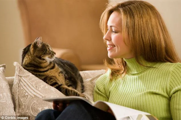 Woman relaxing on a sofa with a tabby cat