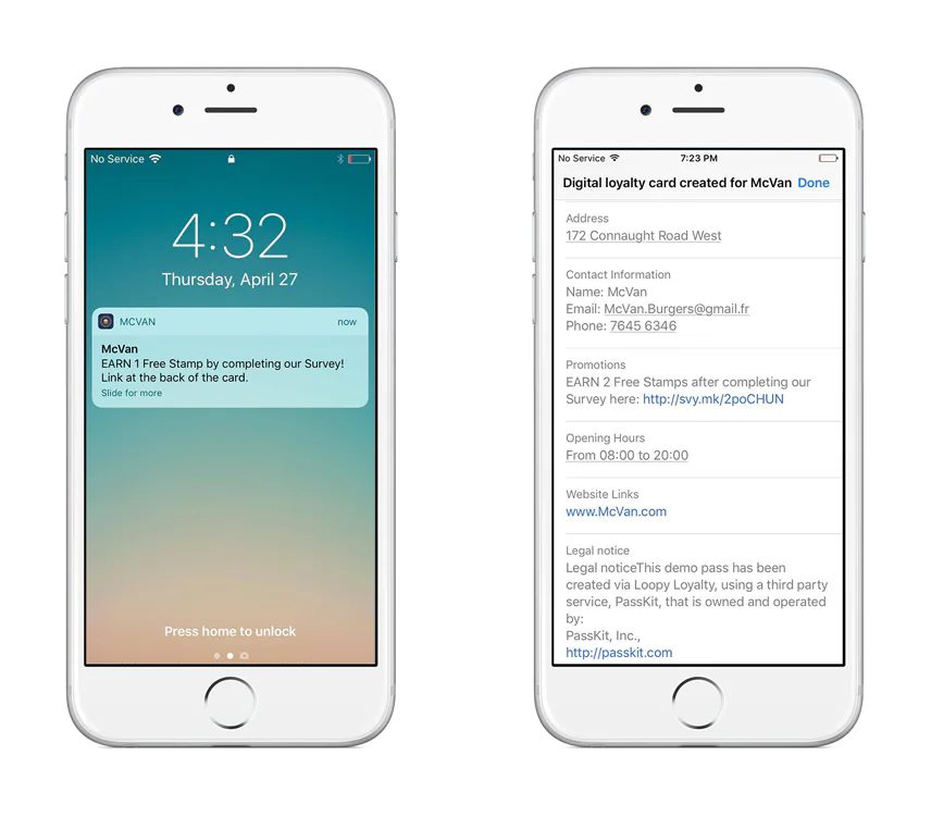 Mobile wallet customer survey example 2