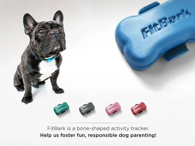 Dog beside a bone-shaped FitBark activity tracker