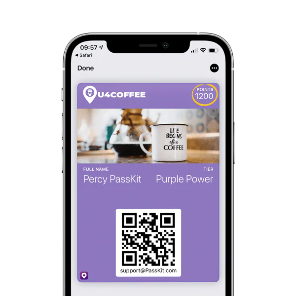 digital loyalty program costs