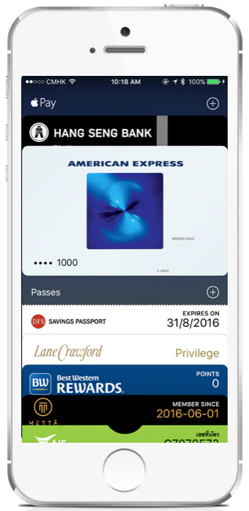 Apple Pay security example 2
