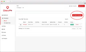 Digital coupon campaign setup screen 31