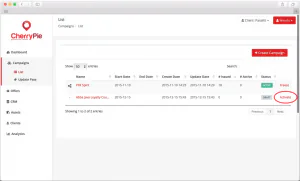 Digital coupon campaign setup screen 35