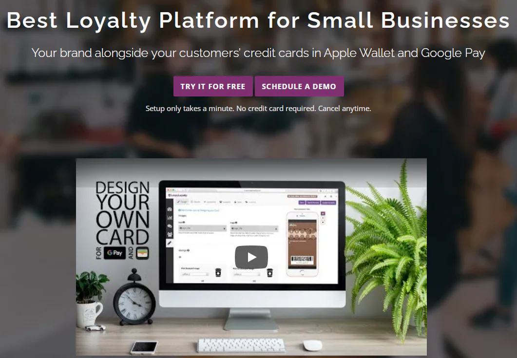 Loopy Loyalty customer loyalty platform
