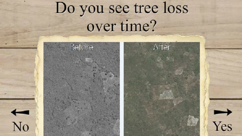 Before-and-after tree-loss comparison asking whether the change is visible