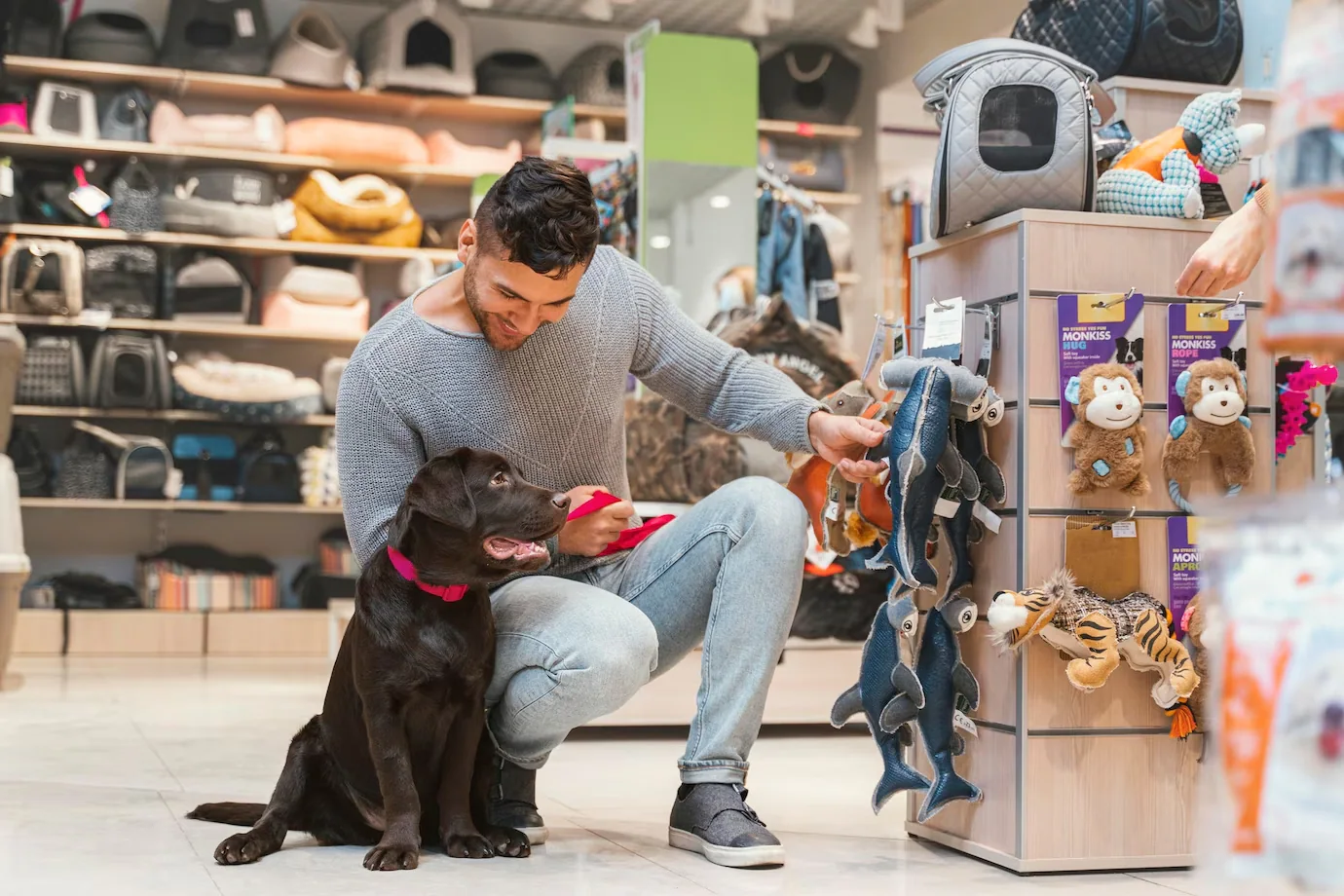pet store rewards program