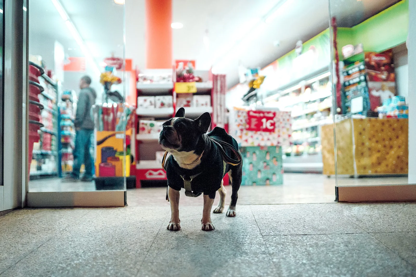 pet store rewards program