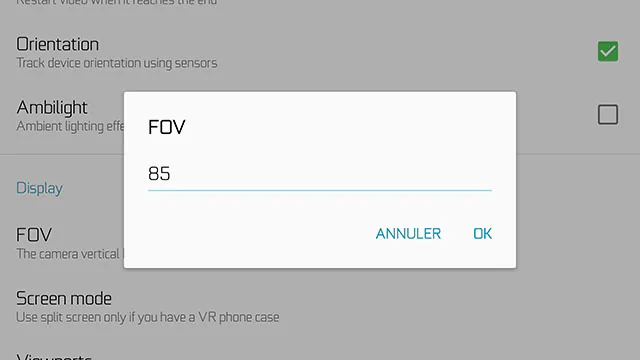 VR Player settings screen for field of view and orientation tracking