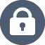 Robust Security Measures Icon
