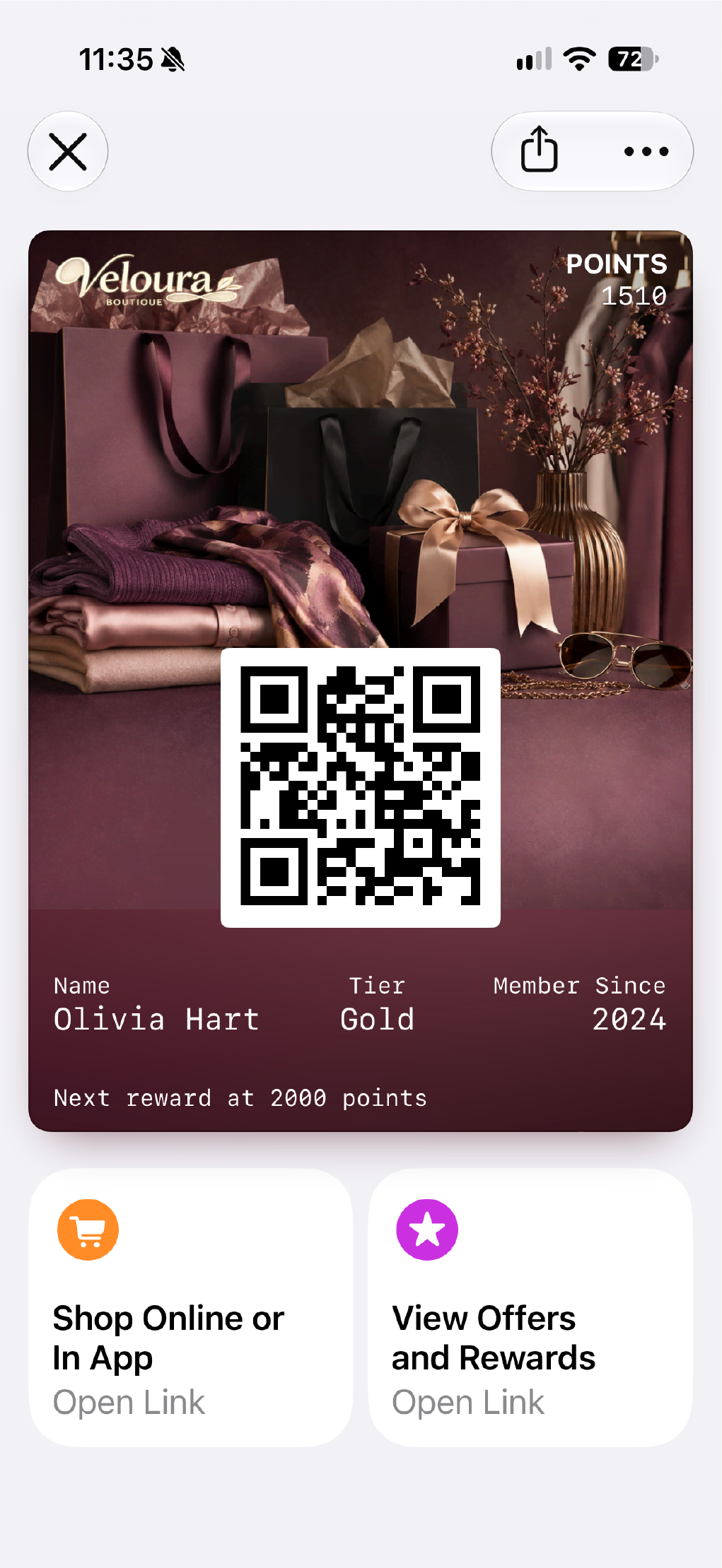 A Veloura
  Boutique pass shown on a phone.