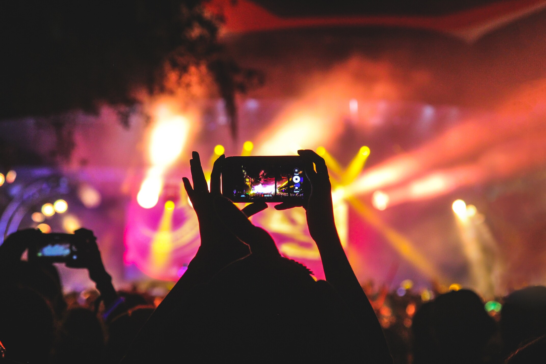 Concerts and Music Festivals