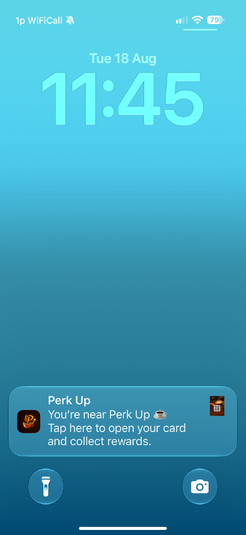 An example showing a wallet pass ready to access on a phone.